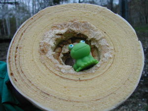 三方六の端っこ